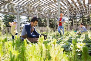 plant nursery workers