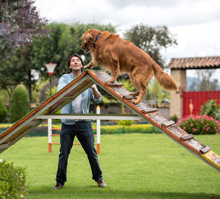 dog trainer working with a dog